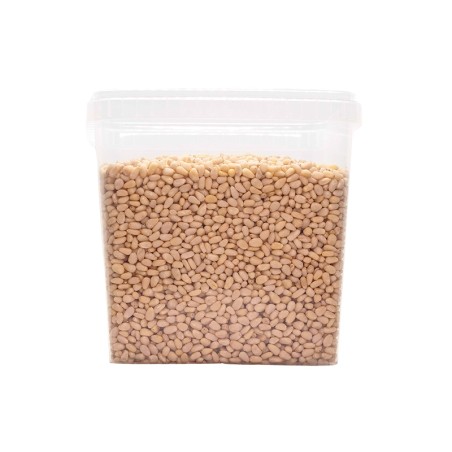 Raw wild pine nuts - 2,5KG