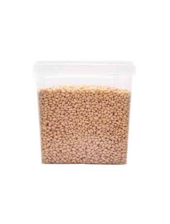 Raw wild pine nuts - 2,5KG